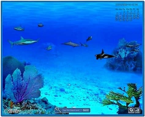 3d Marine Aquarium Screensaver 1198 Download Screensaversbiz