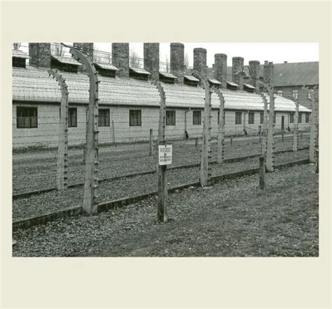 German Prison Camp Female Guard Photo World War Ii Auschwitz