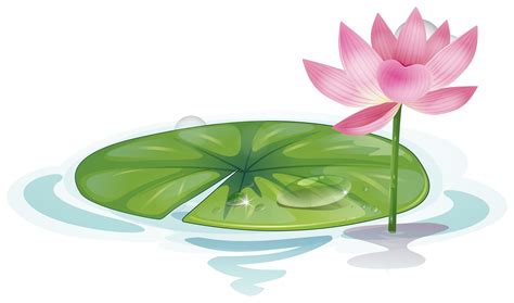 Lotus Leaf Free Vector Art 17678 Free Downloads
