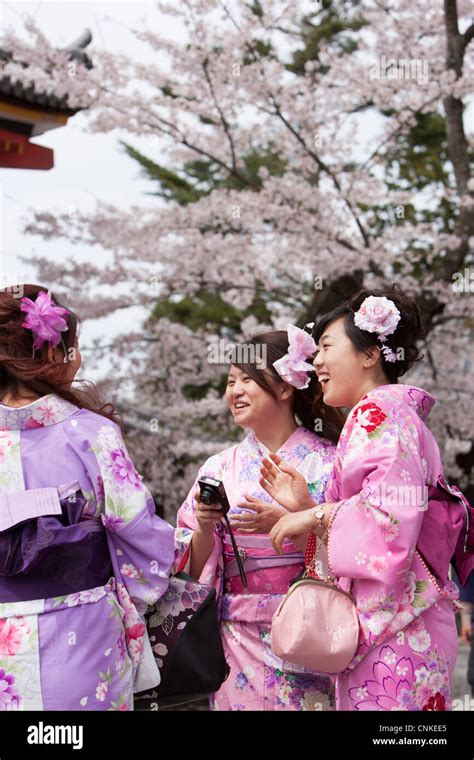 Japanese Girls Wearing Kimonos Celebrating Cherry Blossom Season In Kiyomizu Dera Temple Kyoto