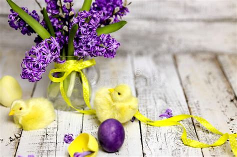 Easter Composition With Chikens Eggs And Hyacinth Spring Flowers Stock