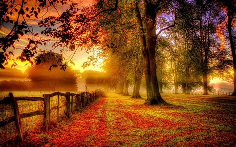 Park Autumn Scenery Red Leaves Road Fence Wallpaper Nature And