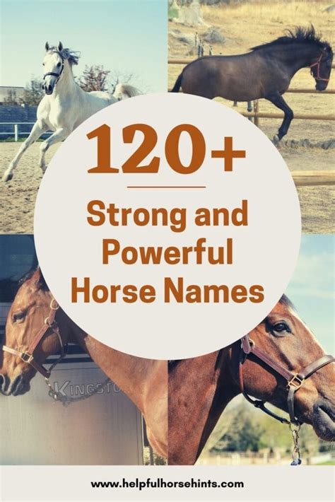 120 Strong And Powerful Horse Names Helpful Horse Hints