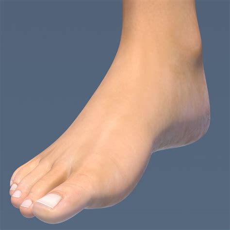 Realistic Feet 3d Max