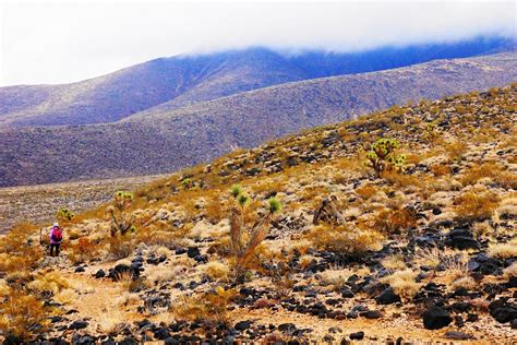 Lazarow World-Hike-About: 29.07 Henderson, Nevada: Black Mountain in