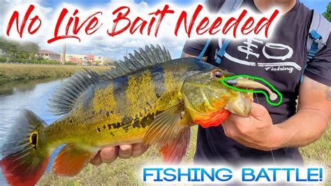 No Live Bait Needed Nlbn Fishing Battle Who Will Win Youtube