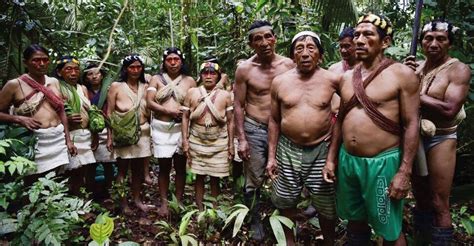 El Abandono De Los Pueblos Indígenas Aislados Del Ecuador Iwgia International Work Group For