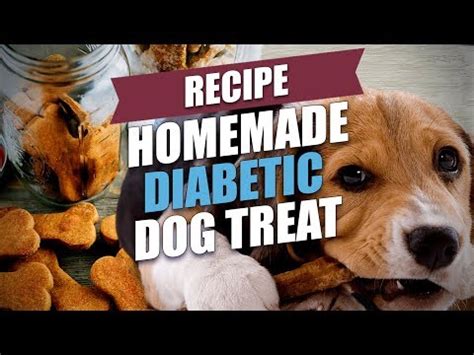 I cook her regular meals and also make dog treats (twice cooking them on low like biscotti); Homemade Diabetic Dog Treat Recipe - YouTube