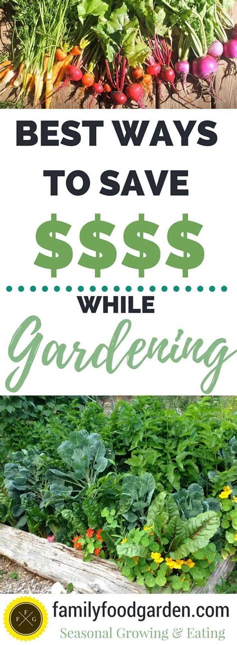 The Best Frugal Gardening Tips Frugal Gardening Organic Gardening