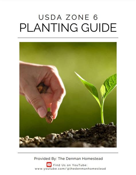 Usda Zone 6 Planting Guide Etsy