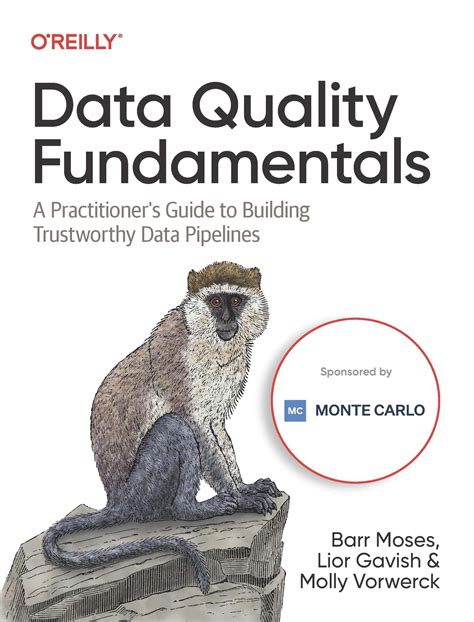 Oreilly Publishes Data Observability Book By Monte Carlo Founders