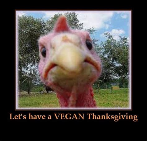 Maybe you would like to learn more about one of these? Lets Have A Vegan Thanksgiving Pictures, Photos, and ...