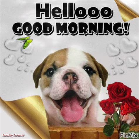 Good Morning  Funny Dog Morsodifame Blog