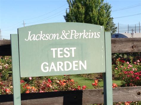 We offer the best in home mattresses, bedding accessories at discount prices. #Medford #Oregon #Jackson&Perkins #Rose #Garden ...