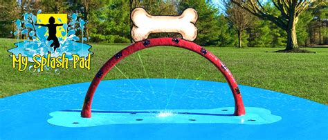 Pin On Dog Water Parks And Features