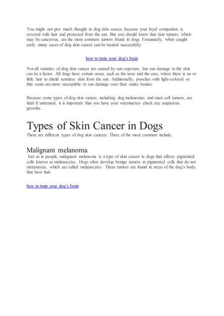 Dog Skin Cancer Types Signs And Treatments Pdf