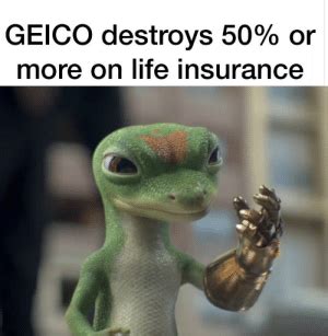 The company primarily offers deals on auto insurance, but they offer home and renters insurance separately and as bundles as well. Geico Home Insurance Reviews Reddit - Home Sweet Home | Modern Livingroom