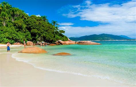 Logo na costa leste de santa catarina, você encontra a ilha do campeche. Conheça alguma das melhores praias de Santa Catarina