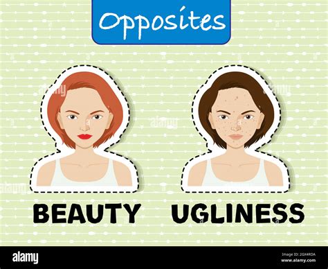 Opposite Words For Beauty And Ugliness Stock Vector Image And Art Alamy