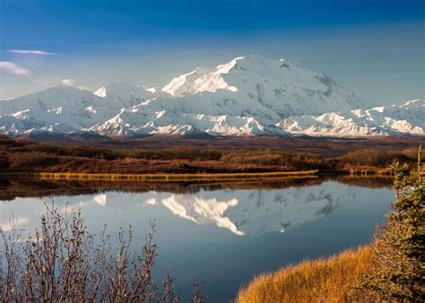 Denali National Park Alaska Wilderness Sample Alaska Excursion