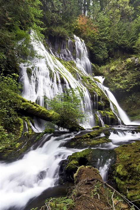 Panther Creek Falls Photograph By Paul Riedinger