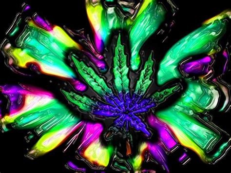 45 Trippy Pot Leaf Wallpapers On Wallpapersafari