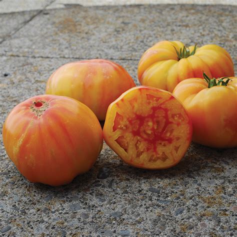 Virginia Sweets Tomato Large Tomato Seeds Totally Tomatoes