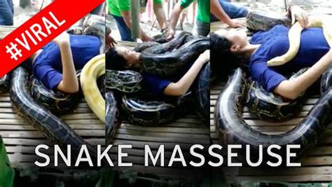 Pictured Man Enjoys Massage From Huge Python Mirror Online