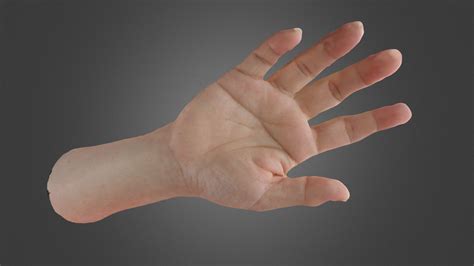 Hand Download Free 3d Model By Omoideshabou 449d176 Sketchfab