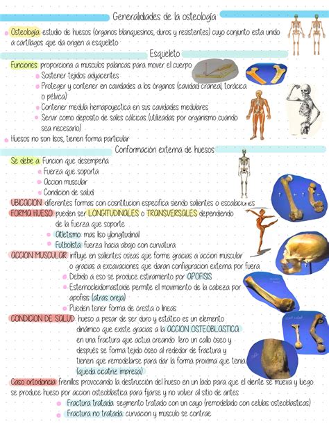 Resumen Generalidades Osteologia 2 Generalidiades De La Osteología