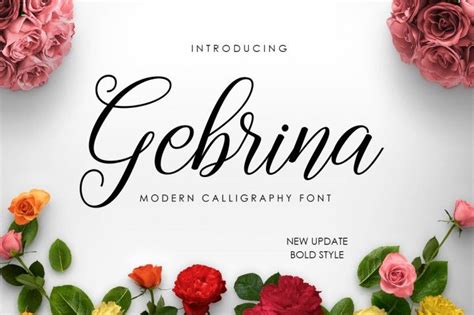 Script1 the fonts presented on this website are their authors' property, and are either freeware, shareware, demo versions or public domain. Gebrina Script is modern calligraphy design, including ...
