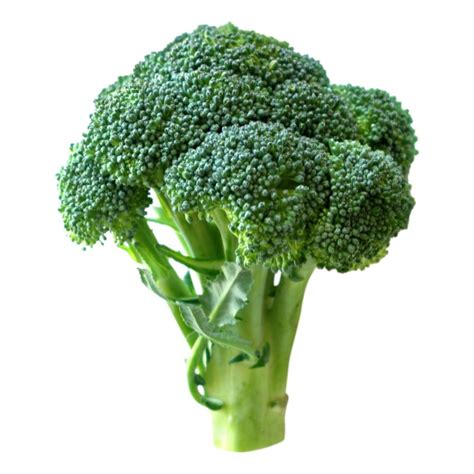 Buy Online Broccoli Crown Farmers Fresh