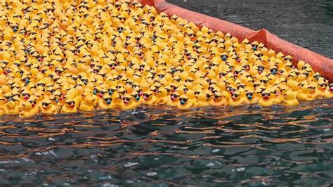 11 Astonishing Facts About Rubber Duck Derby