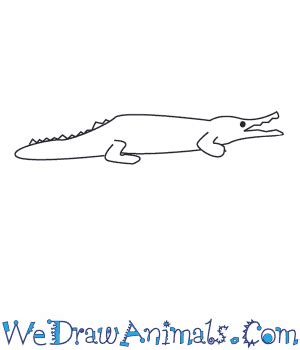 Maybe you would like to learn more about one of these? How to Draw a Crocodile