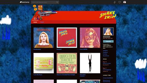 With name your price downloads. Snakeskin's Bandcamp Web Design on Behance