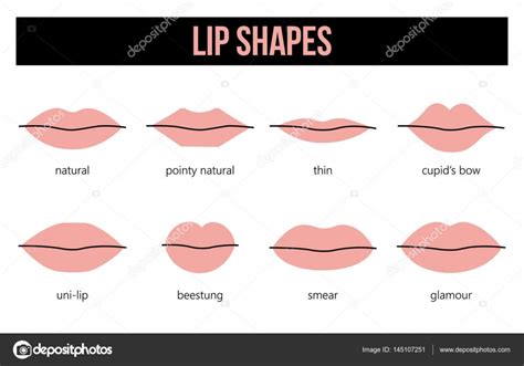 Along with this characteristic, the person with these types of lips is generally very protective in nature. Tipos de bocas | tipos de formas de labios — Vector de ...