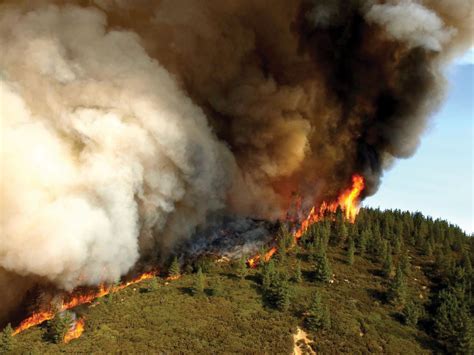 Forest Fire Definition Description Ecology And Facts Britannica
