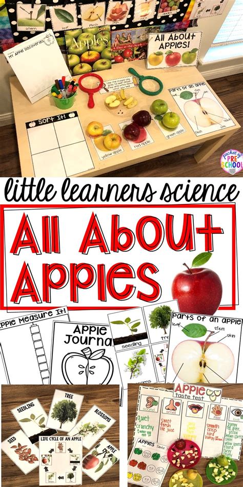 All About Apples Science For Little Learners Preschool Pre K