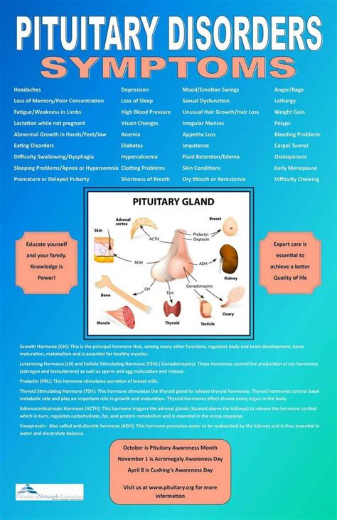 Pin On Get Fit Pituitary Gland Pituitary Gland Tumor Endocrine