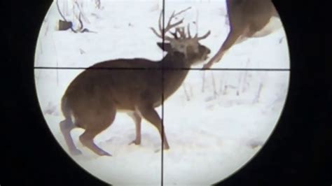 13 Trophy Whitetail Bucks Harvested In Snow Using Smartphone Scope