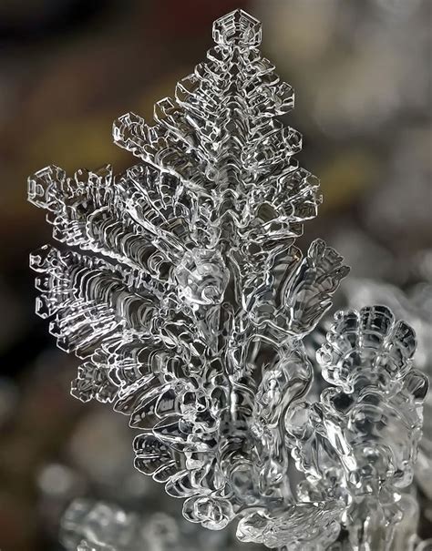 Macro Photos Of Individual Snowflakes By Andrew Osokin 10 Pictures