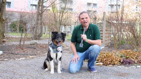 Haus zum prater (konukevi), spitz (avusturya) fırsatları. Häuser zum Leben Aktuell: Tiergestützte Therapie im Haus ...