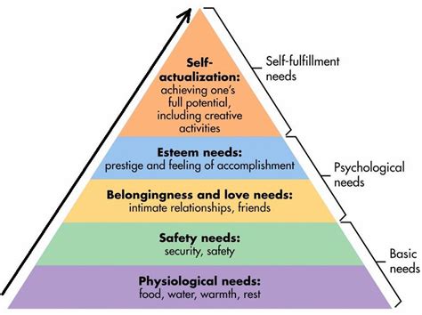 Maslows Hierarchy Of Needs Theory Needs Pyramid Studiousguy