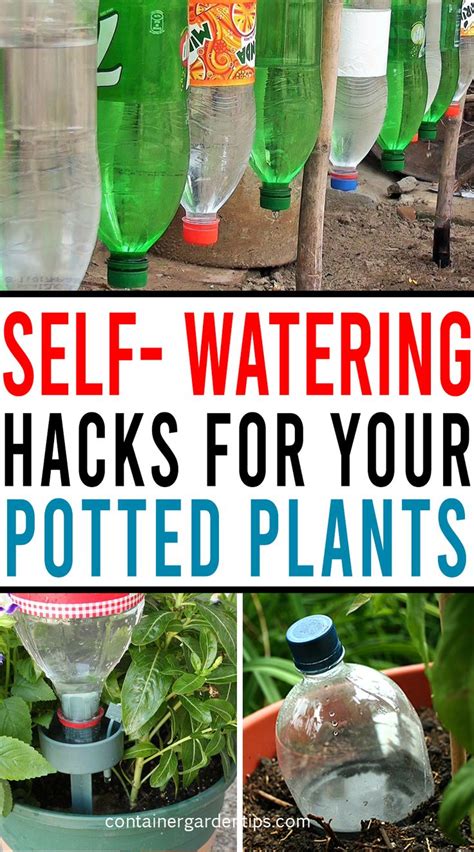 How To Make Self Watering System For Potted Plants With Plastic Bottles