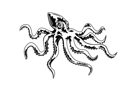 Octopus Vector Illustration Monochrome Graphic By Pchvector