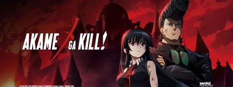 Akame Ga Kill Sentai Filmworks