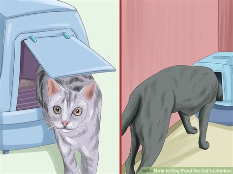Or, select one with an indirect or top entryway, so that kitty can enter, but doggy cannot. 3 Ways to Dog Proof the Cat's Litterbox