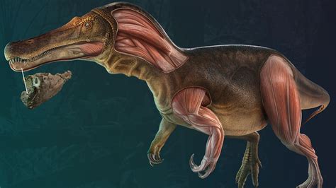 Actualizar Imagem Dinossauros Em Portugal Br Thptnganamst Edu Vn