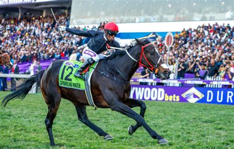 Hollywoodbets Durban July 2023 Everything You Need To Know