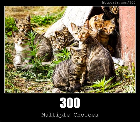 300 Multiple Choices Status Code And Cats